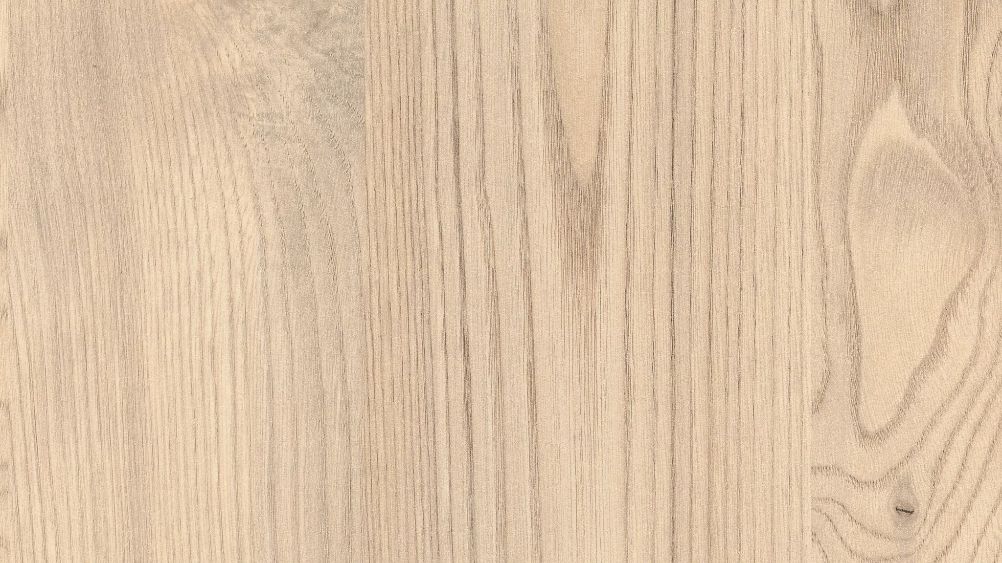 Каштан Кентукки песочный